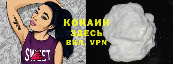 стаф Осинники