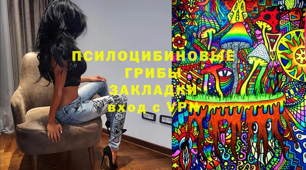 бошки Пересвет