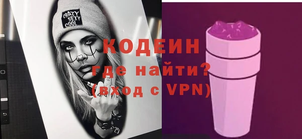 стаф Осинники
