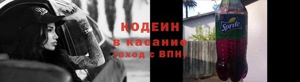 стаф Осинники