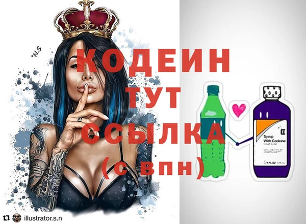 дмт Гатчина