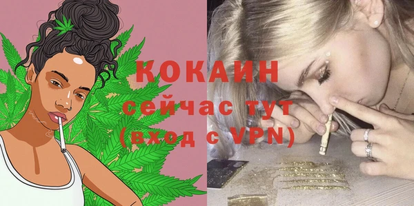 бошки Пересвет