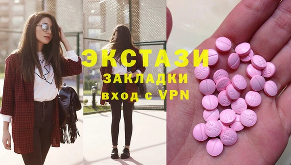гидра Галич