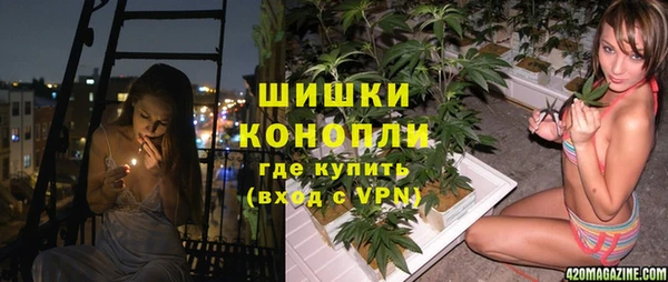 ПСИЛОЦИБИНОВЫЕ ГРИБЫ Остров