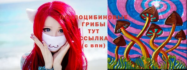 стаф Осинники