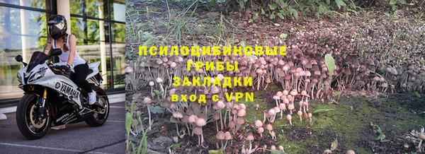 бошки Пересвет