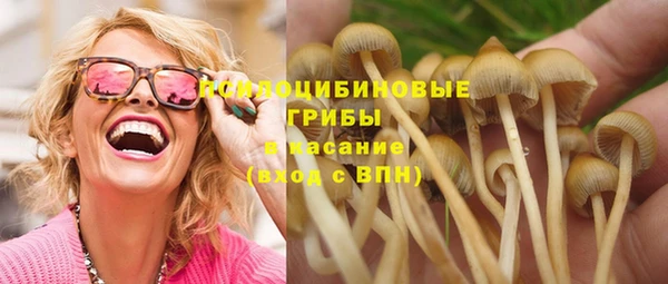бошки Пересвет