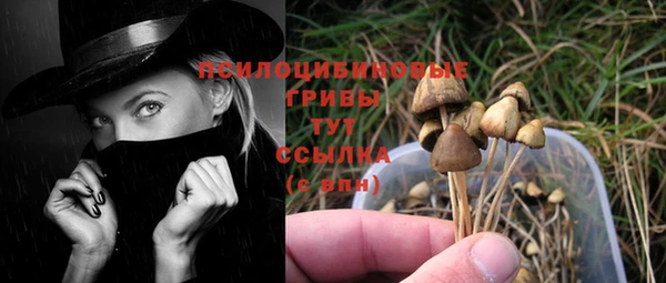 ПСИЛОЦИБИНОВЫЕ ГРИБЫ Остров