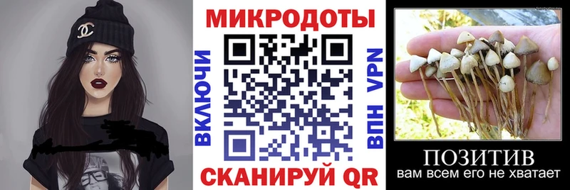 Псилоцибиновые грибы прущие грибы  где продают наркотики  blacksprut рабочий сайт  Рыльск 